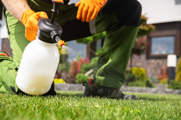 Best Pest Removal Services  in Canton, NC