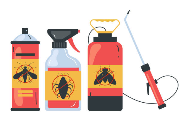 Best Local Pest Control Services  in Canton, NC