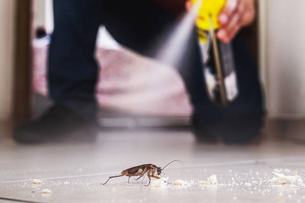 Best Best Pest Control Companies  in Canton, NC